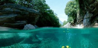 Test Your Diving Skills With The Finest Scuba Diving Equipment