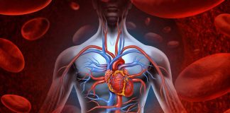 Stay Fit With Improve Blood Circulation Around Your Body