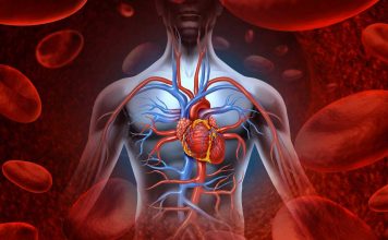 Stay Fit With Improve Blood Circulation Around Your Body