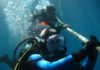 5 Must Do’s while Planning Your Next Scuba Diving Scuba Diving
