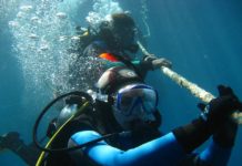 5 Must Do’s while Planning Your Next Scuba Diving Scuba Diving