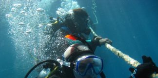 5 Must Do’s while Planning Your Next Scuba Diving Scuba Diving