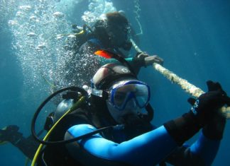 5 Must Do’s while Planning Your Next Scuba Diving Scuba Diving