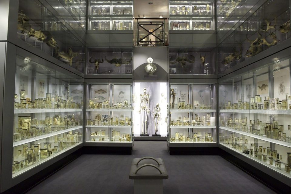 The Hunterian Museum