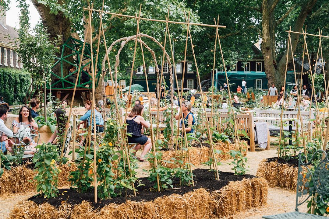 Beautiful Allotment