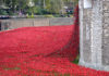 Blood Swept Lands Poppies Sculptures to be installed in London & Manchester London