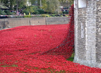 Blood Swept Lands Poppies Sculptures to be installed in London & Manchester London