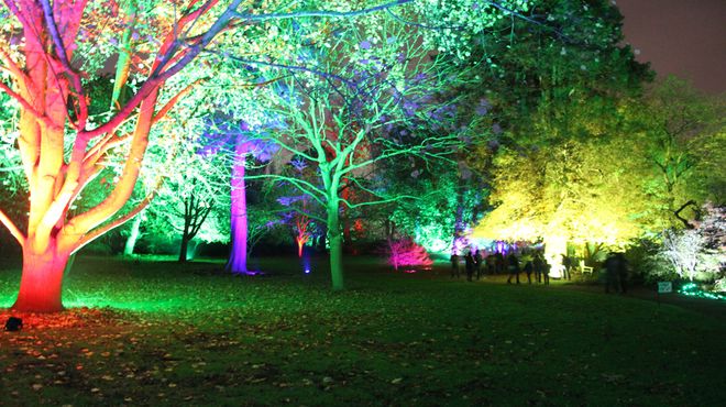 Enchanted Forest at Syon Park