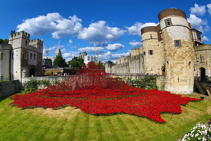 Iconic poppy sculpture Wave