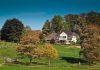 What You Need to Know Before Buying a Rural Property What You Need to Know Before Buying a Rural Property