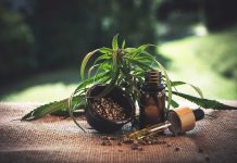 Cannabis Seeds: A Miracle Cure Cannabis Seeds