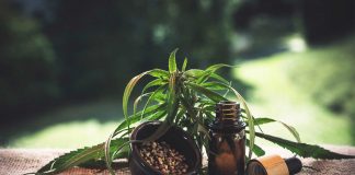 Cannabis Seeds: A Miracle Cure Cannabis Seeds
