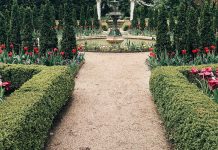 What you need to Know Before you Landscape your Own Garden Garden