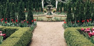 What you need to Know Before you Landscape your Own Garden Garden