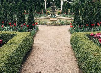 What you need to Know Before you Landscape your Own Garden Garden