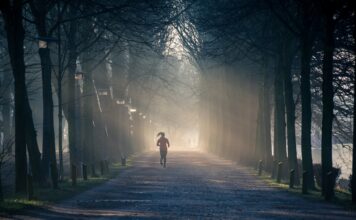What is the Difference Between Psychopathy and Sociopathy? Psychopathy and Sociopathy