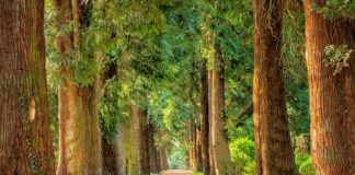 How to Live a More Well-Rounded Life Well Rounded Life