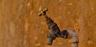 The Most Common Causes of Blocked Drains blocked drains