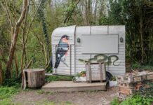 Simple Things To Think About When Buying A Horsebox Horsebox