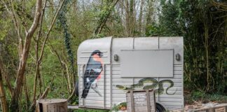 Simple Things To Think About When Buying A Horsebox Horsebox
