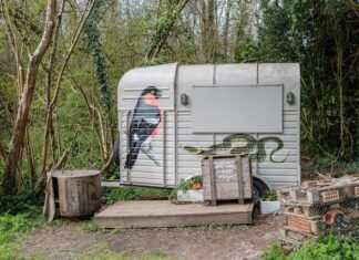 Simple Things To Think About When Buying A Horsebox Horsebox