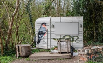 Simple Things To Think About When Buying A Horsebox Horsebox