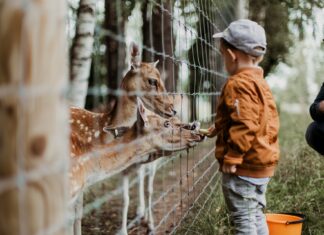 Discover the Best Animal Places Near You: A Comprehensive Guide animals places near me