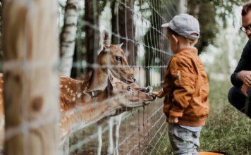 Discover the Best Animal Places Near You: A Comprehensive Guide animals places near me