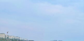 99 Facts about Brighton Everyone Should Know Facts About Brighton