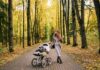 9 Justifications For Parents’ Adoption Of Stroller Wagon Stroller Wagon