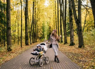 9 Justifications For Parents’ Adoption Of Stroller Wagon Stroller Wagon