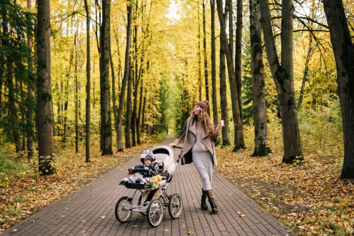 Stroller Wagon