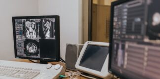 A Loved Free Manga Website: What Happened To Realm Scans? realm scans