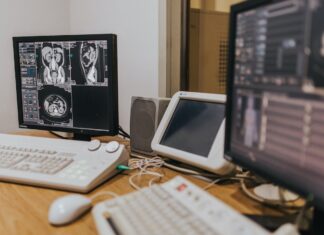 A Loved Free Manga Website: What Happened To Realm Scans? realm scans