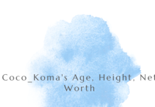 Coco_Koma’s Age, Height, Net Worth, And Career Were Leaked On OnlyFans. coco_koma