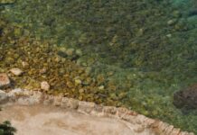 4 New & Exciting Hobbies to Start This SummerÂ