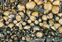 What Logs Burn For The Longest? Logs