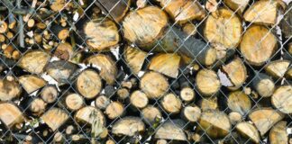 What Logs Burn For The Longest? Logs