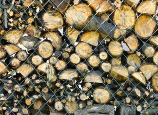 What Logs Burn For The Longest? Logs