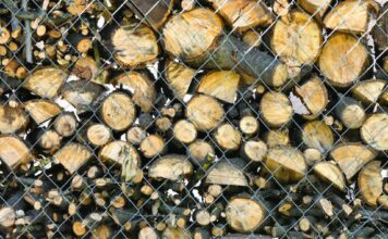 What Logs Burn For The Longest? Logs