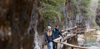 Why a Halfway to Hana Tour is Perfect for Time-Constrained Travelers Hana Tour