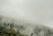 Smart Heating Tips for a Cozy and Energy-Efficient Home Energy-Efficient Home