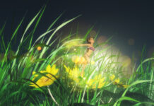 Tinker Bell Movie Order: A Magical Trip Through Pixie Hollow Tinker Bell Movie