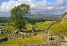 How to Use Land Registry Services for Property Verification Land Registry Services