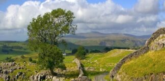 How to Use Land Registry Services for Property Verification Land Registry Services