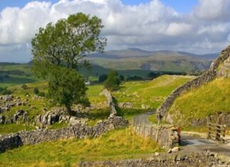 How to Use Land Registry Services for Property Verification Land Registry Services