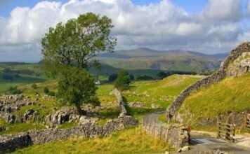 How to Use Land Registry Services for Property Verification Land Registry Services