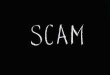 8776137414: Is It a Scam Call? A Full Investigation 8776137414 scam no.