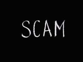 8776137414: Is It a Scam Call? A Full Investigation 8776137414 scam no.