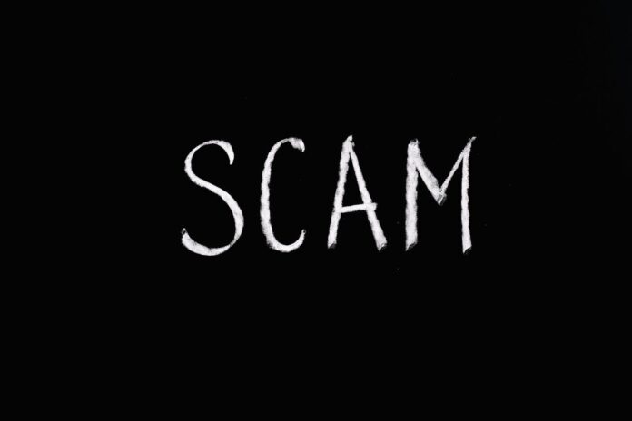 8776137414 scam no.